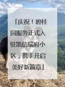 庆祝！碧桂园服务正式入驻凯信瑞府小区，携手开启美好新篇章