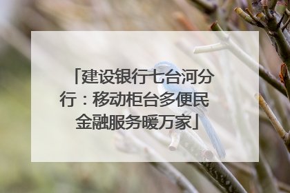 建设银行七台河分行：移动柜台多便民 金融服务暖万家