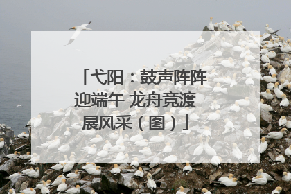 弋阳：鼓声阵阵迎端午 龙舟竞渡展风采（图）