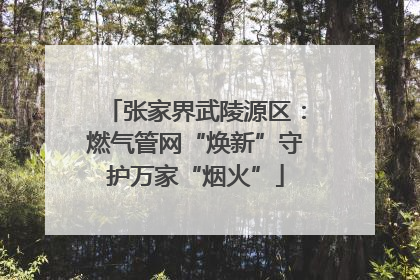 张家界武陵源区：燃气管网“焕新”守护万家“烟火”
