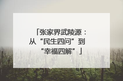 张家界武陵源：从“民生四问”到“幸福四解”