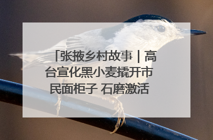 张掖乡村故事｜高台宣化黑小麦撬开市民面柜子 石磨激活村集体钱匣子
