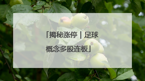 揭秘涨停｜足球概念多股连板