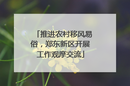 推进农村移风易俗，郑东新区开展工作观摩交流