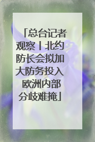 总台记者观察丨北约防长会拟加大防务投入 欧洲内部分歧难掩