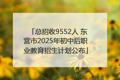 总招收9552人 东营市2025年初中后职业教育招生计划公布