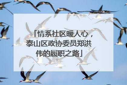 情系社区暖人心，泰山区政协委员郑洪伟的履职之路
