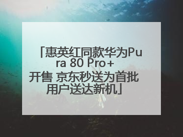 惠英红同款华为Pura 80 Pro+开售 京东秒送为首批用户送达新机