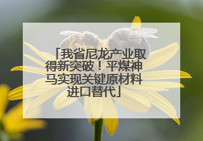 我省尼龙产业取得新突破！平煤神马实现关键原材料进口替代