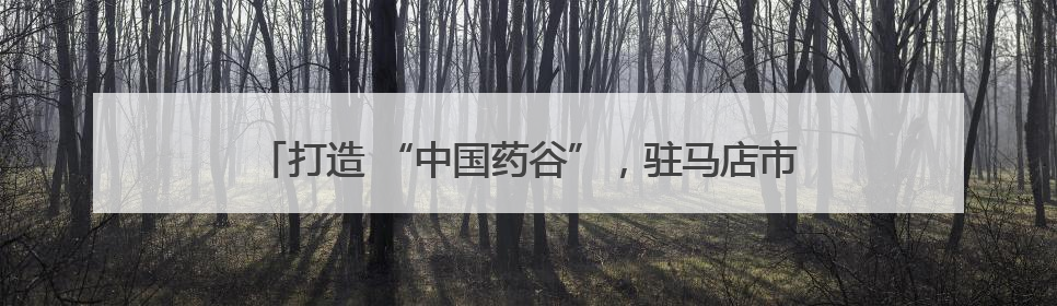 打造 “中国药谷”，驻马店市市长诚邀长三角高精尖企业入驻