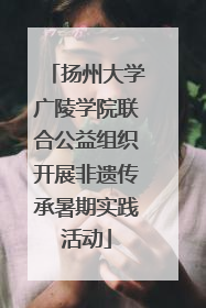 扬州大学广陵学院联合公益组织开展非遗传承暑期实践活动