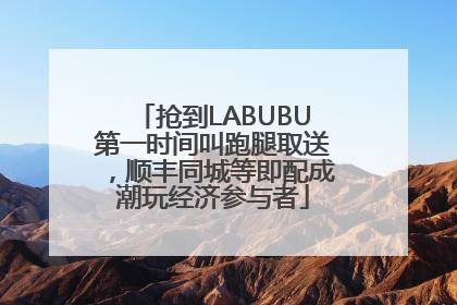 抢到LABUBU第一时间叫跑腿取送，顺丰同城等即配成潮玩经济参与者