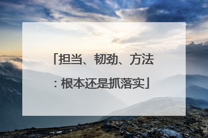 担当、韧劲、方法：根本还是抓落实