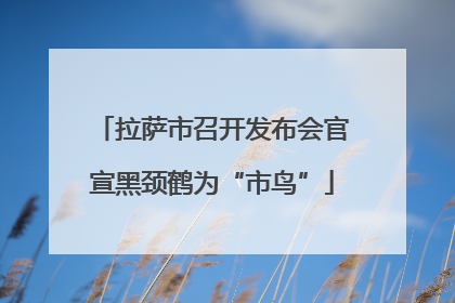 拉萨市召开发布会官宣黑颈鹤为“市鸟”