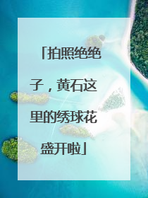 拍照绝绝子，黄石这里的绣球花盛开啦