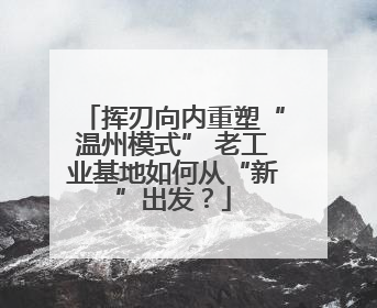 挥刃向内重塑“温州模式” 老工业基地如何从“新”出发？