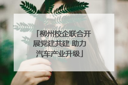 柳州校企联合开展党建共建 助力汽车产业升级