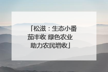 松滋：生态小番茄丰收 绿色农业助力农民增收