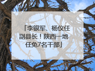 李银军、杨仪任副县长！陕西一地任免7名干部