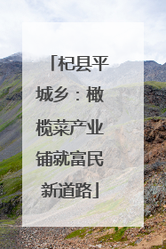 杞县平城乡：橄榄菜产业铺就富民新道路