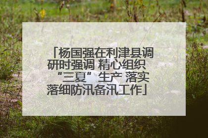 杨国强在利津县调研时强调 精心组织“三夏”生产 落实落细防汛备汛工作