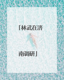 林武在济南调研