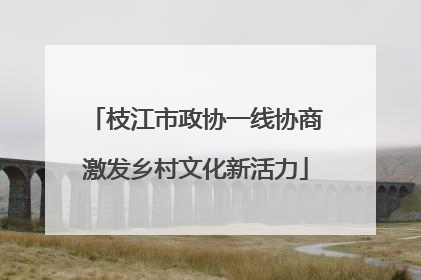 枝江市政协一线协商激发乡村文化新活力