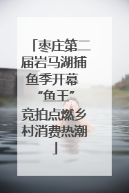 枣庄第二届岩马湖捕鱼季开幕 “鱼王” 竞拍点燃乡村消费热潮