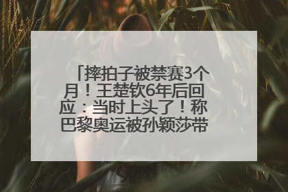 摔拍子被禁赛3个月！王楚钦6年后回应：当时上头了！称巴黎奥运被孙颖莎带着打，搭档8年“一个眼神就能懂”