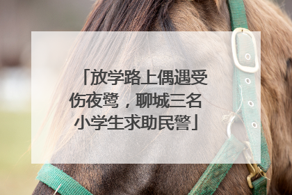 放学路上偶遇受伤夜鹭，聊城三名小学生求助民警