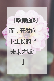 政策面对面：开发向下生长的“未来之城”