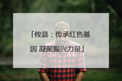 攸县：传承红色基因 凝聚振兴力量