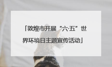 敦煌市开展“六·五”世界环境日主题宣传活动