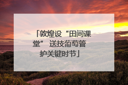 敦煌设“田间课堂” 送技葡萄管护关键时节