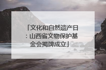 文化和自然遗产日：山西省文物保护基金会揭牌成立