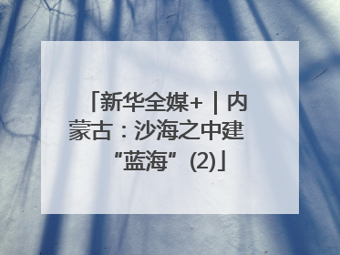 新华全媒+｜内蒙古：沙海之中建“蓝海”(2)