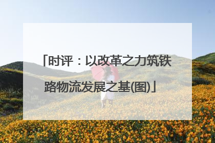 时评：以改革之力筑铁路物流发展之基(图)