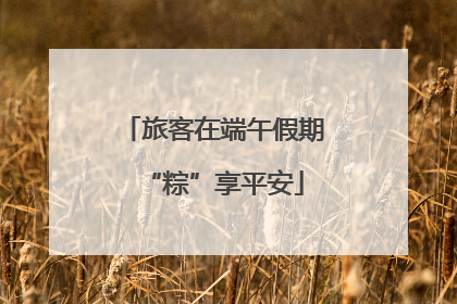 旅客在端午假期“粽”享平安