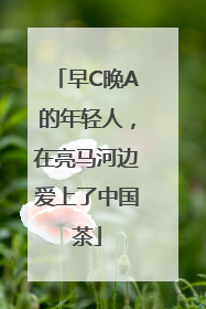 早C晚A的年轻人，在亮马河边爱上了中国茶