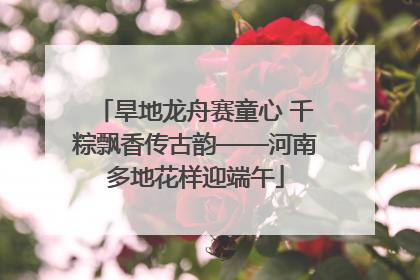 旱地龙舟赛童心 千粽飘香传古韵——河南多地花样迎端午