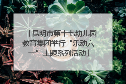 昆明市第十七幼儿园教育集团举行“乐动六一”主题系列活动