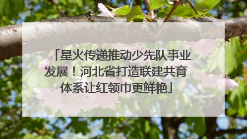 星火传递推动少先队事业发展！河北省打造联建共育体系让红领巾更鲜艳