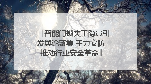 智能门锁夹手隐患引发舆论聚集 王力安防推动行业安全革命