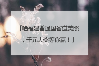 晒福建普通国省道美照，千元大奖等你赢！