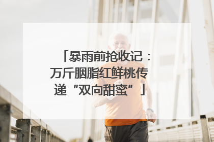暴雨前抢收记：万斤胭脂红鲜桃传递“双向甜蜜”
