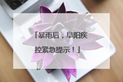 暴雨后，阜阳疾控紧急提示！