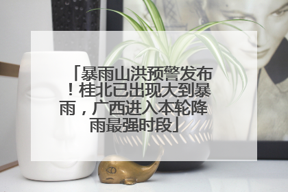 暴雨山洪预警发布！桂北已出现大到暴雨，广西进入本轮降雨最强时段