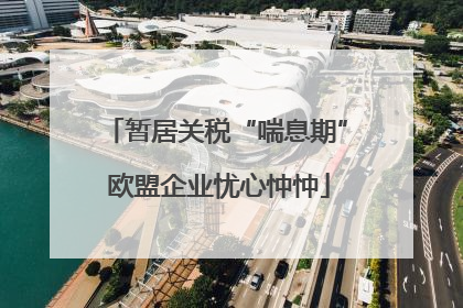 暂居关税“喘息期” 欧盟企业忧心忡忡