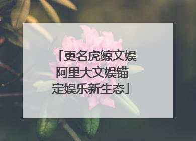 更名虎鲸文娱 阿里大文娱锚定娱乐新生态