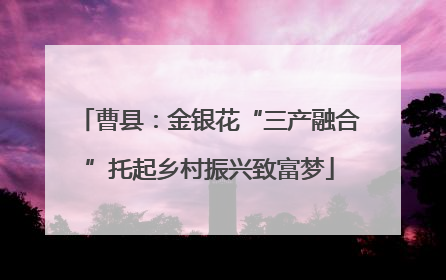 曹县：金银花“三产融合”托起乡村振兴致富梦